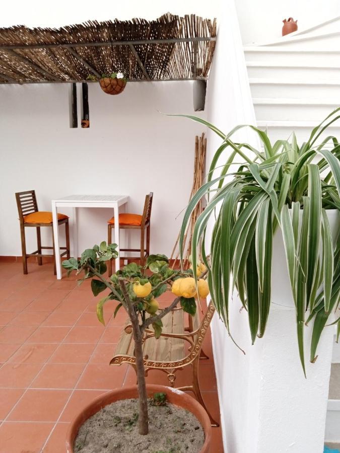 Casa Da Umbria Bed & Breakfast Odemira Exterior photo